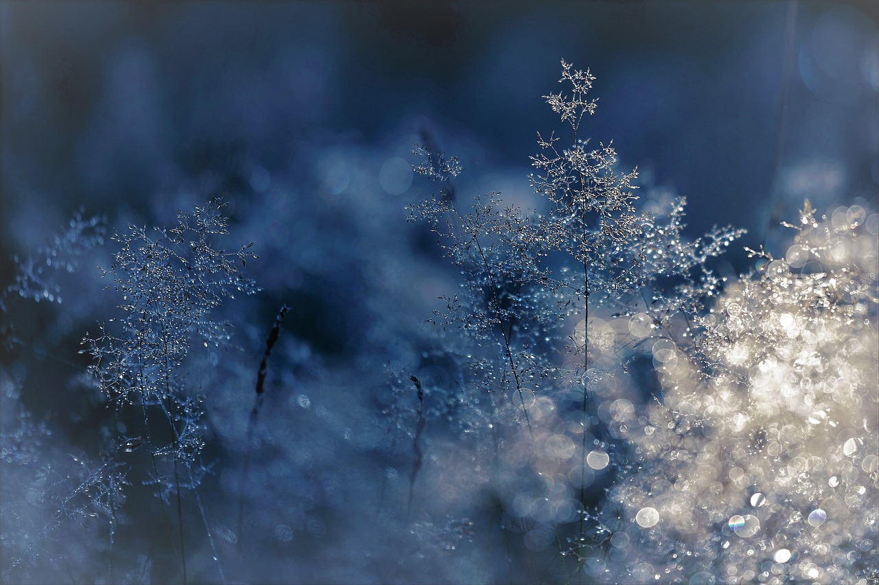 Winter Holiday Safety: Tips for Vacationers